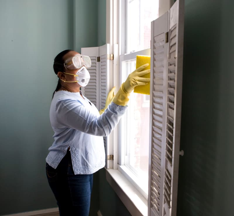 window cleaning